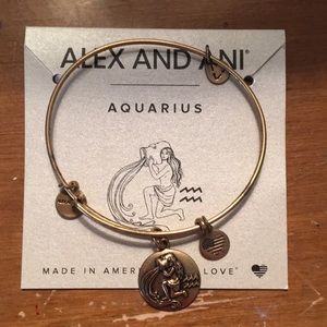 Alex and Ani Aquarius bangle